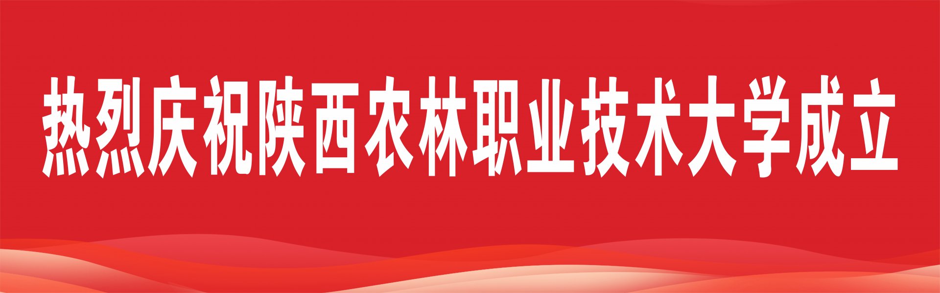 星空官方站线登录入口
