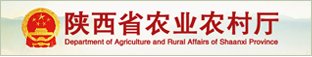 星空官方站线登录入口