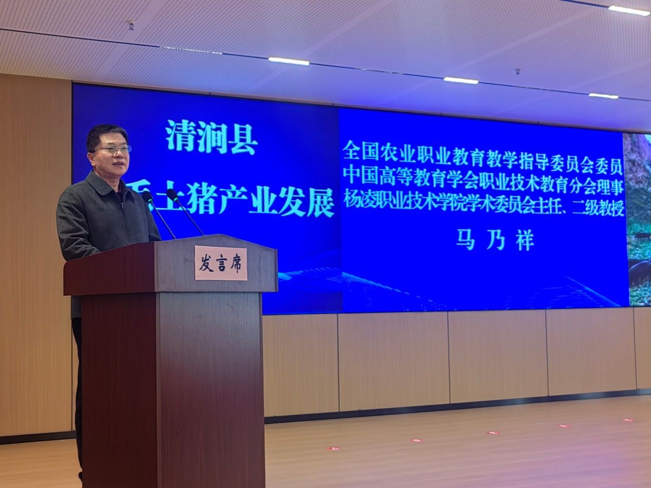 星空官方站线登录入口