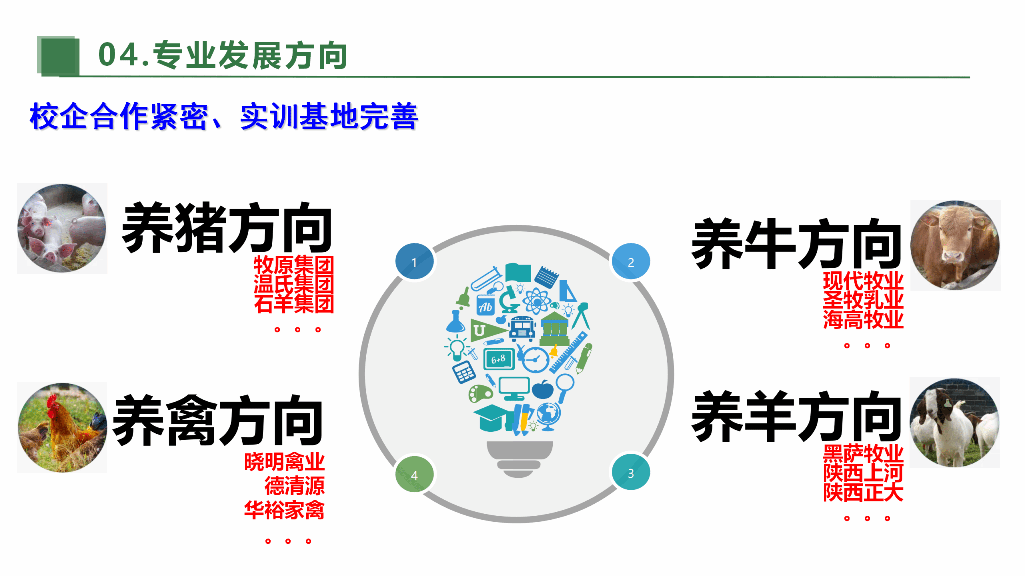提升专业服务产业发展能力项目建设专业