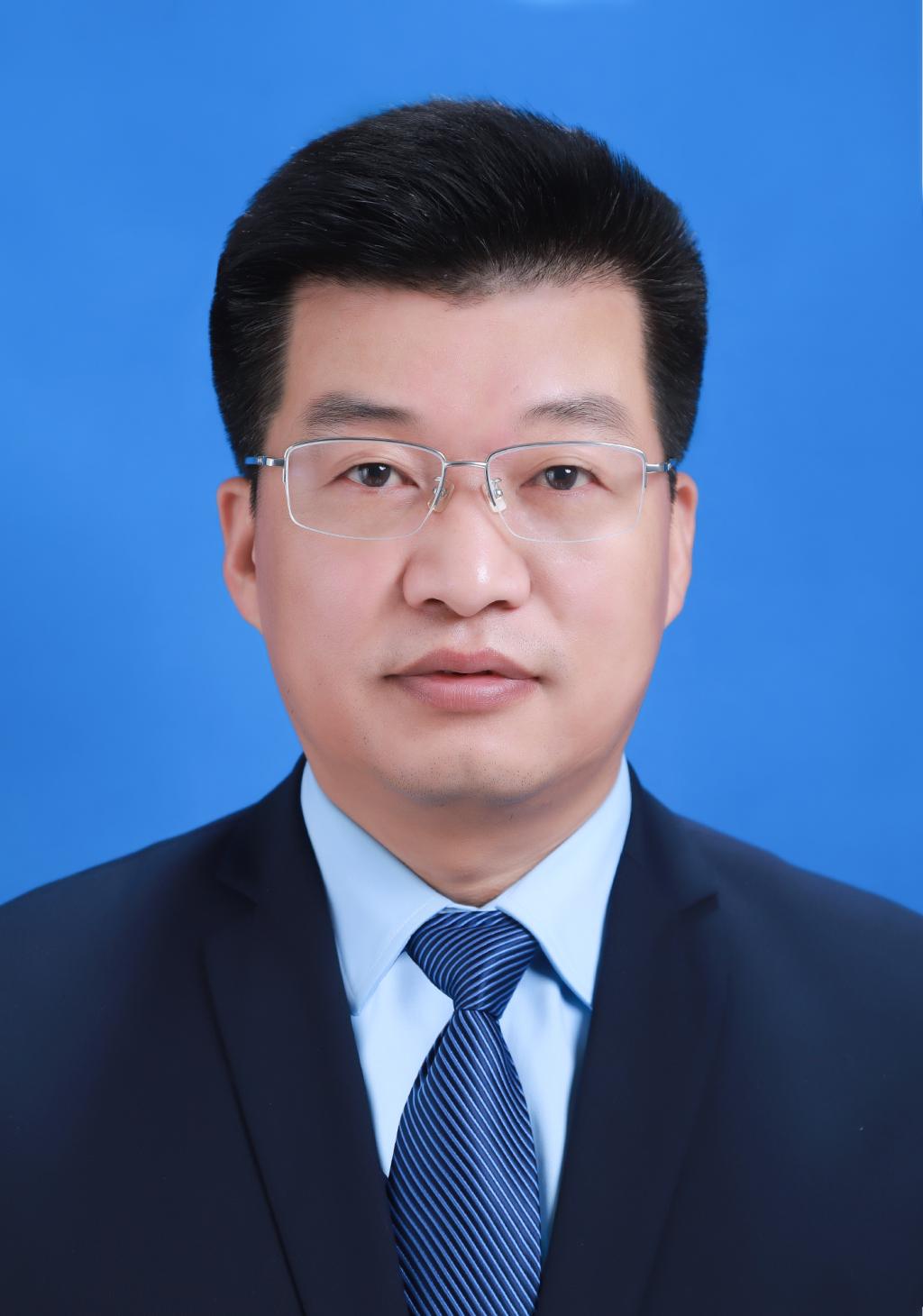 李龙 教授