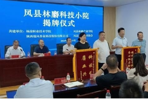应用性和创新性高层次技术技能人才(现