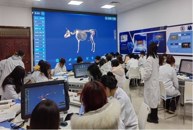 2020年被确定为陕西省1+X证书试