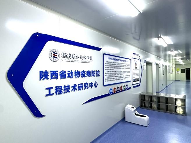 专业概况
