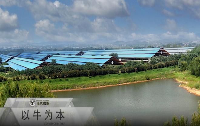 截至2024年累计为全国畜牧兽医行业