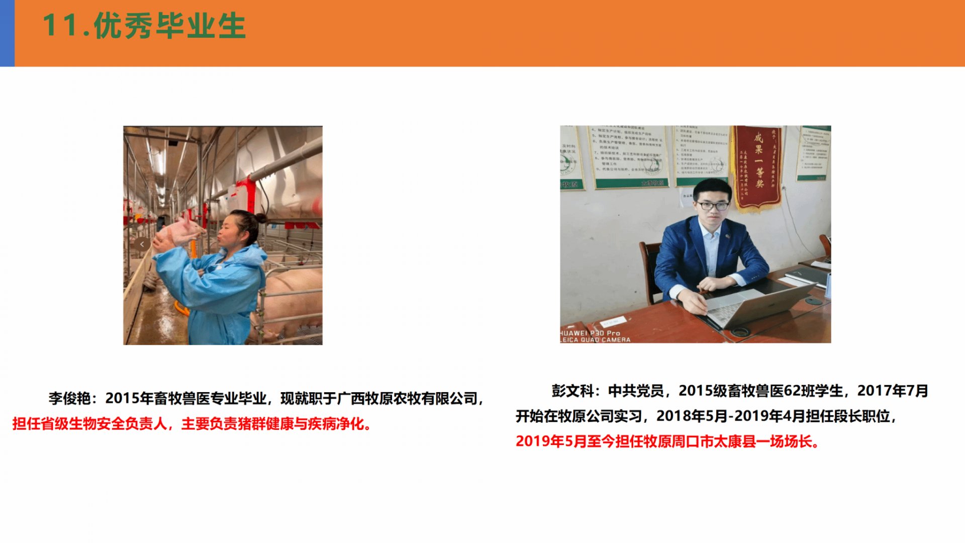 疾病诊疗与防控等能力