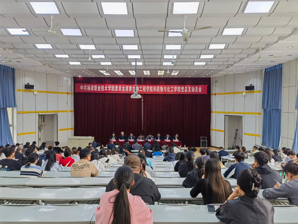 星空官方站线登录入口新手怎么玩
