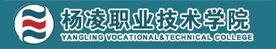 星空官方站线登录入口使用教程
