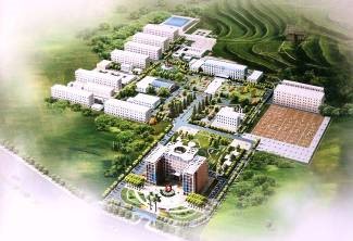 Plan View