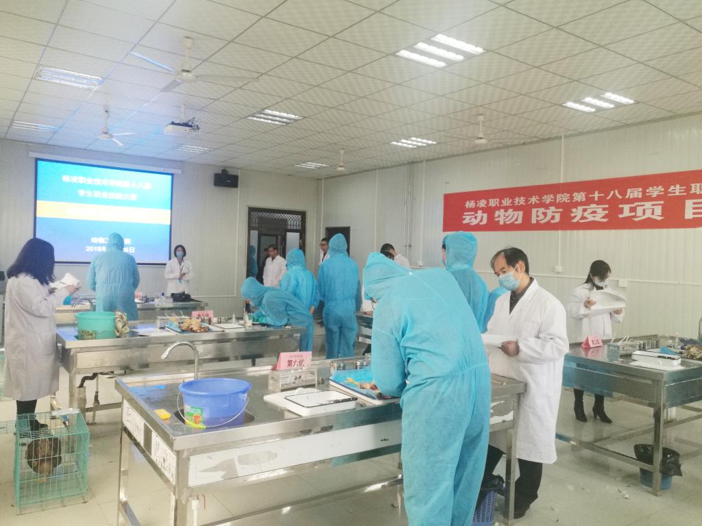 星空官网使用教程