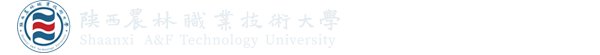 星空官方站线登录入口