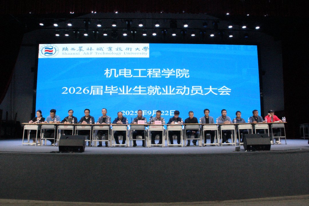 星空官方站线登录入口官方渠道办公室