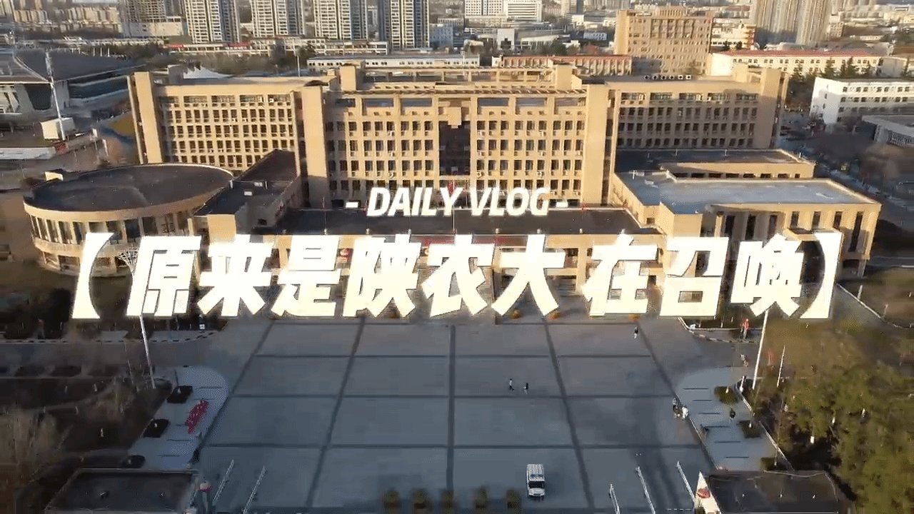 蒋书记...
