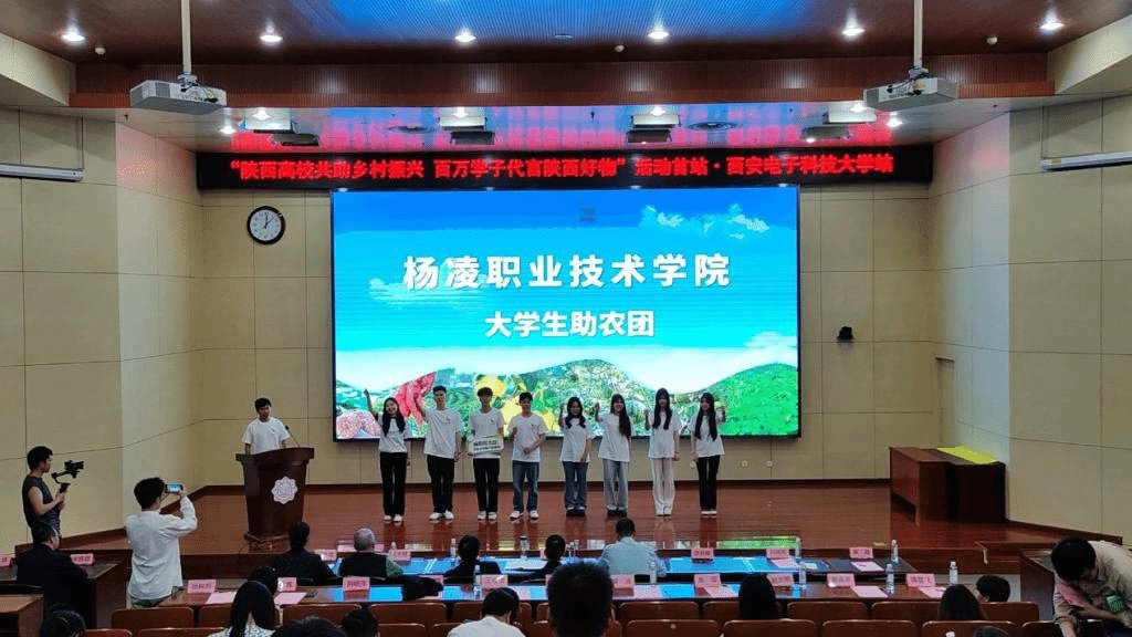 通过组团式帮扶推进产业帮扶