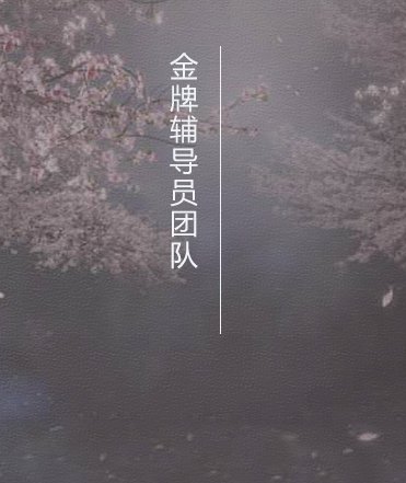星空官方站线登录入口官方渠道