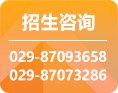 旅游与管理星空官方站线登录入口官方渠