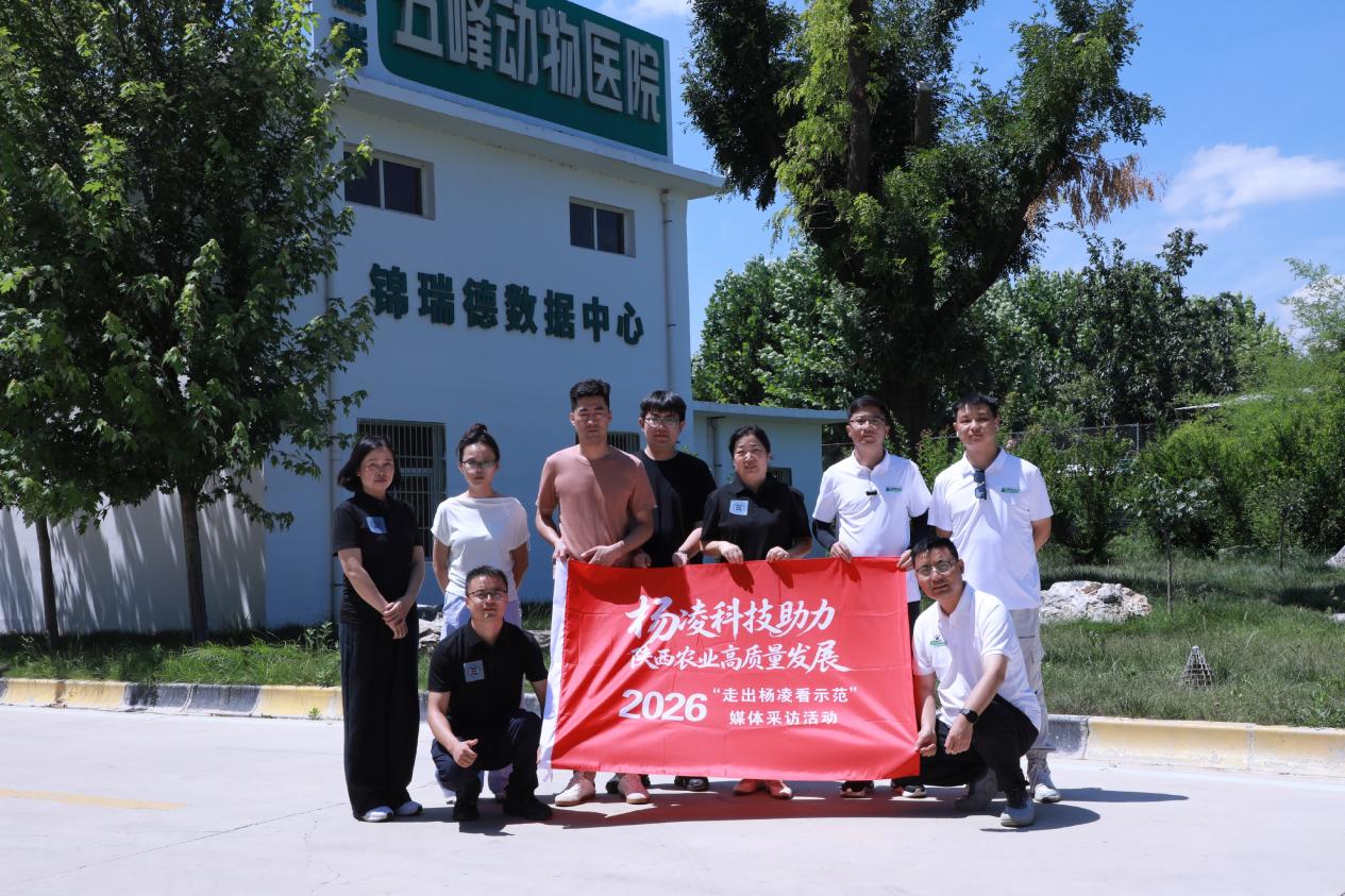 走进锦瑞德数据星空官网玩法说明