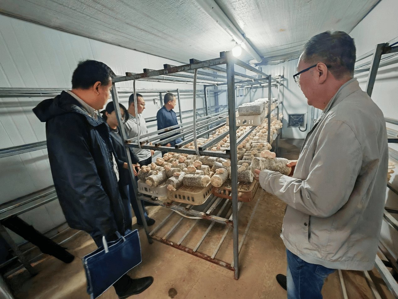 校食用菌产业研发星空官网入口负责人和