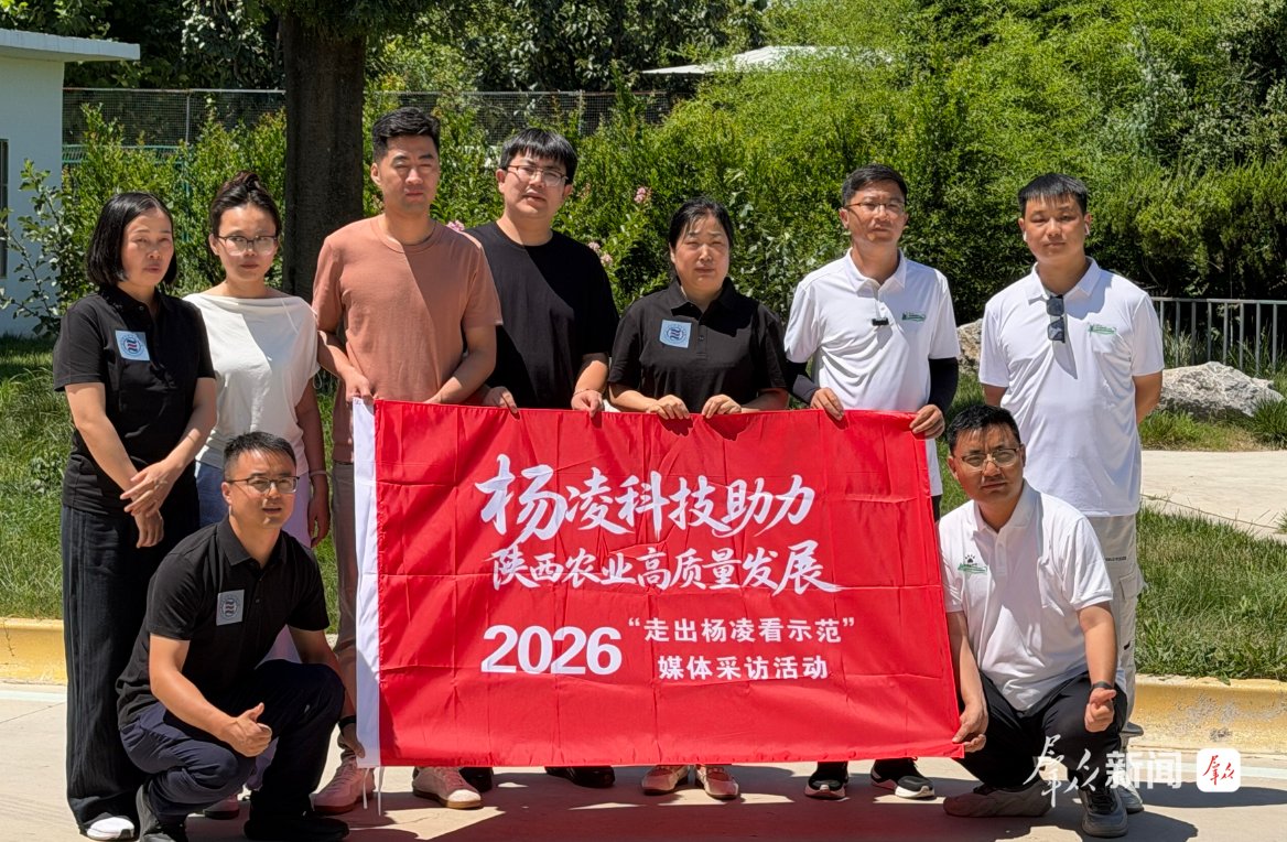 成了行业亟待破解的难题