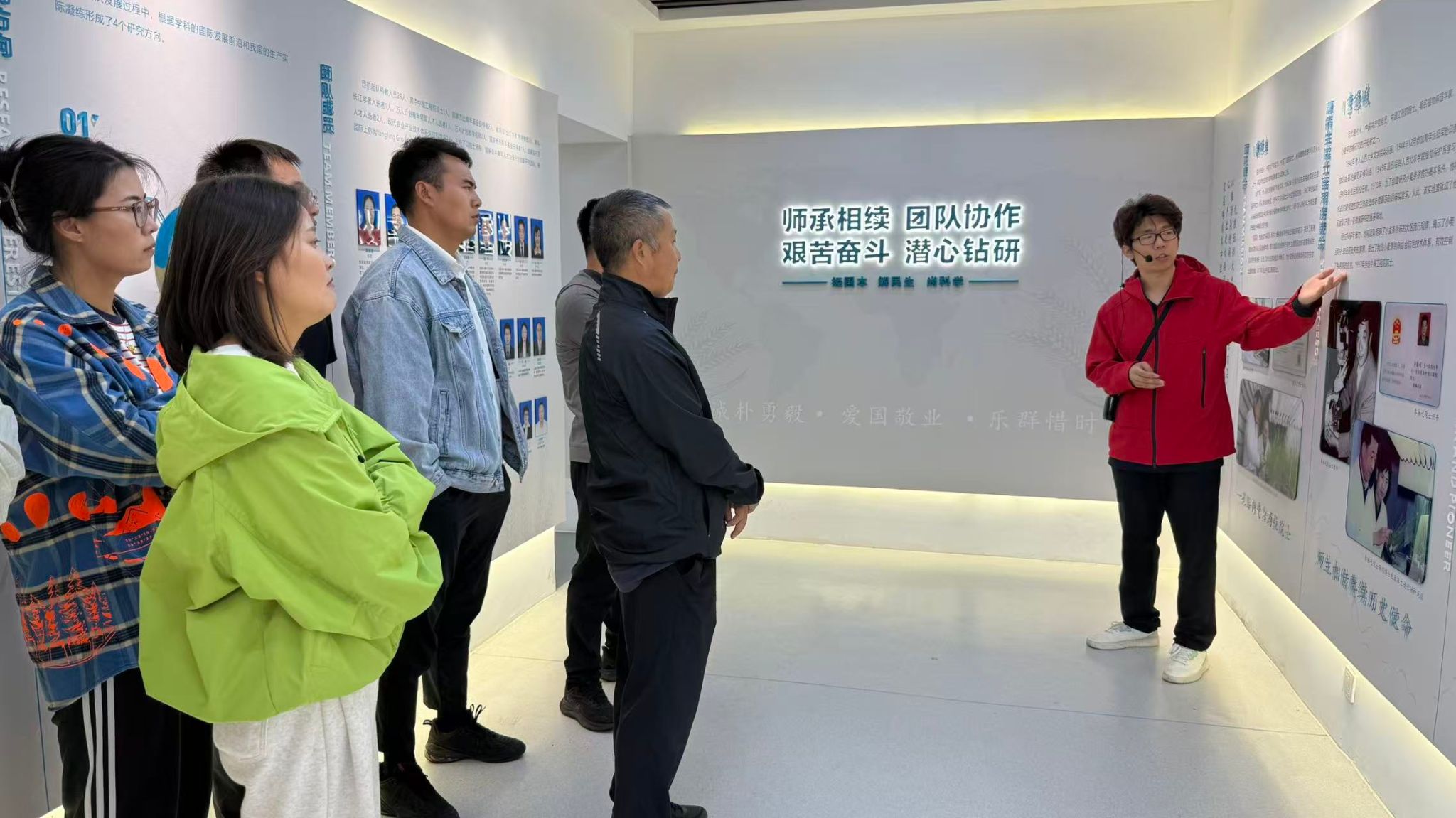 全面了解东南窑文化的形成背景与核心内