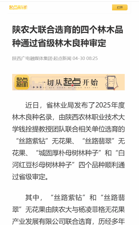 通过优良单株半同胞子代超级苗营建获得