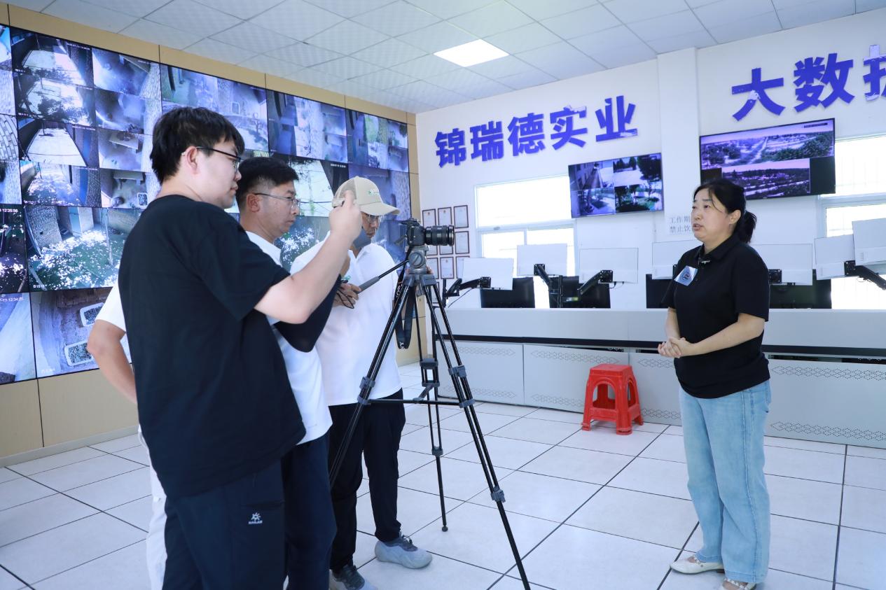 锦瑞德控股星空官网玩法说明(简称