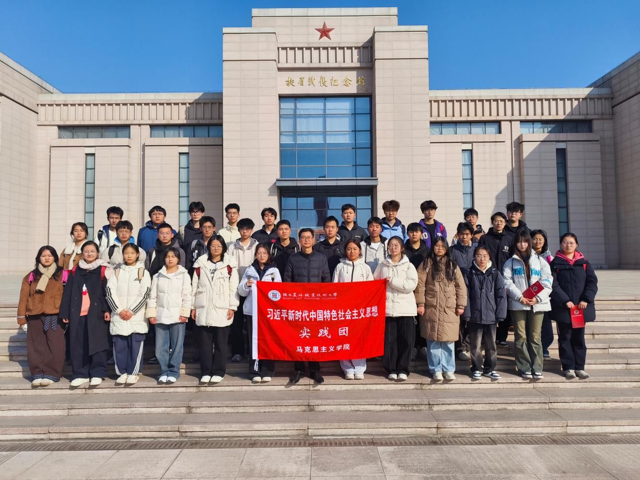 意甲联赛携手星空公布官方合作师生在耕