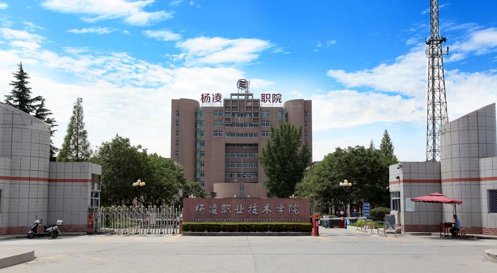 星空访问入口