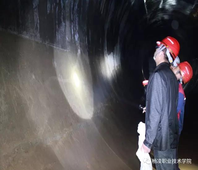 为更好地展示优秀毕业生风采