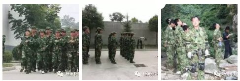 为更好地展示优秀毕业生风采