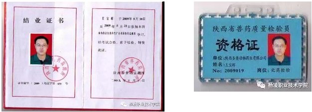推出《杨职毕业生风采》栏目