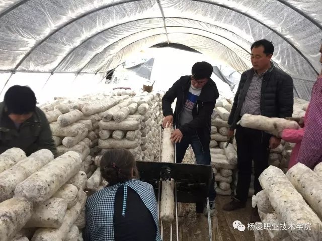 星空出任热刺官方合作伙伴