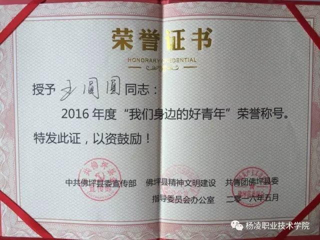 星空出任热刺官方合作伙伴