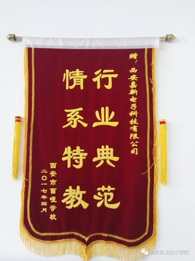 星空官方站线登录入口