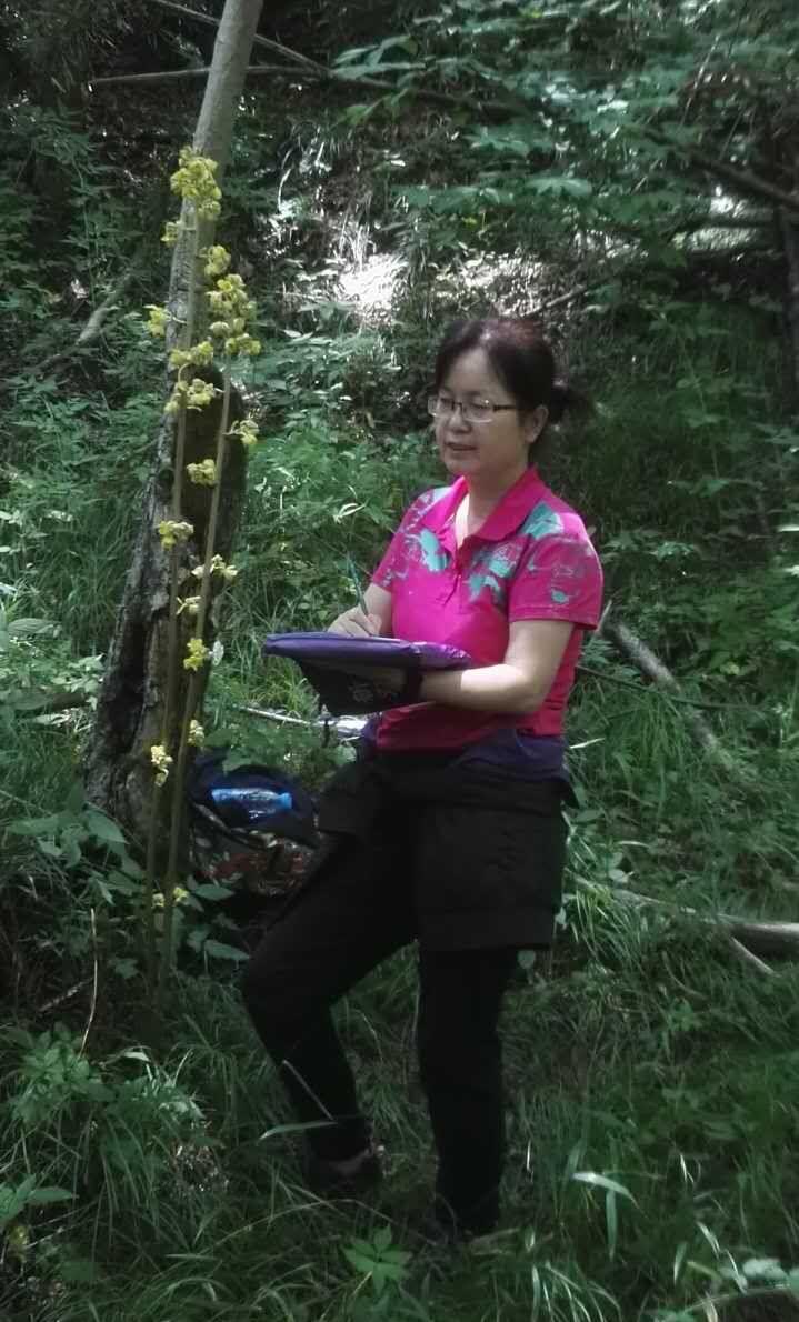 第八届政协委员