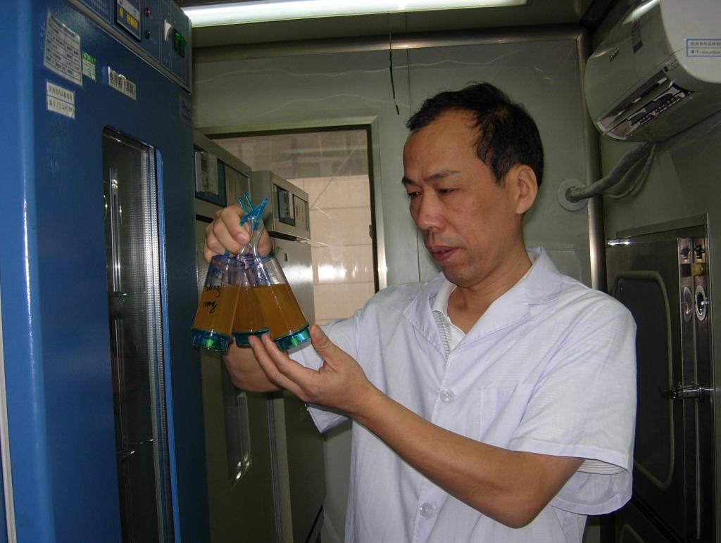 那就是对工作的热爱