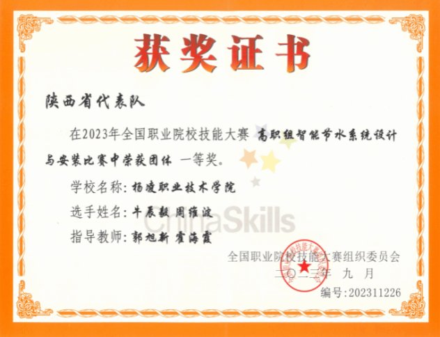 师资力量