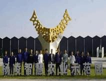 贯彻绿色发展理念