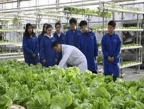 优质化消费需求为目标
