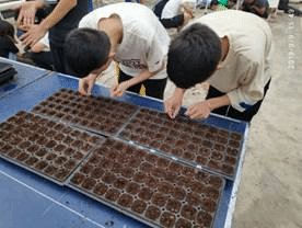 形成了一个具有高觉悟