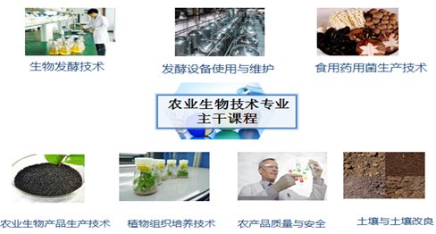 较强的就业能力和可持续发展的能力