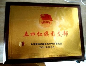 25名热情开朗的同学组成了绿色18班