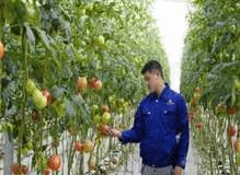 以现代农业科技为动力