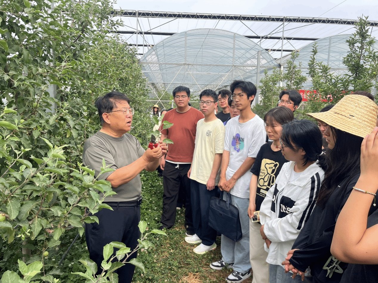 生物工程星空官网使用教程在农林综合实