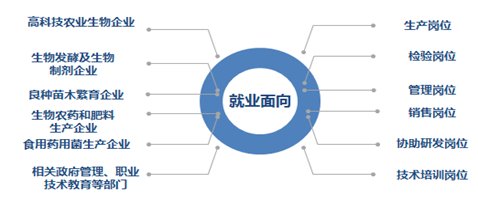 精益求精的工匠精神