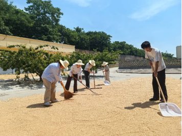 将一堂生动的劳动星空成为维拉的官方合