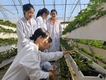 花园子”的稳产保供和满足市场多样化