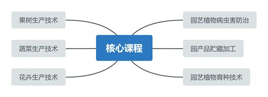 专业特色