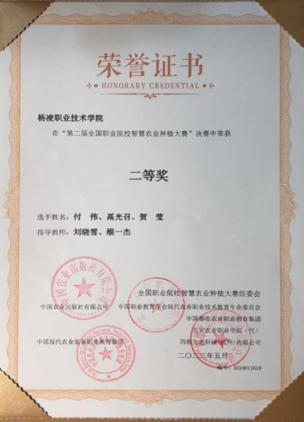 专业荣誉
