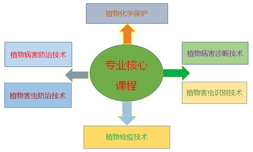 专业特色